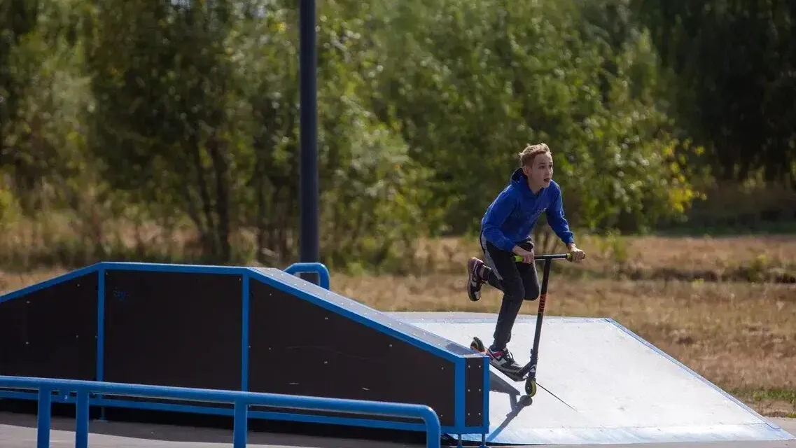 Фото: Министерство благоустройства Московской области