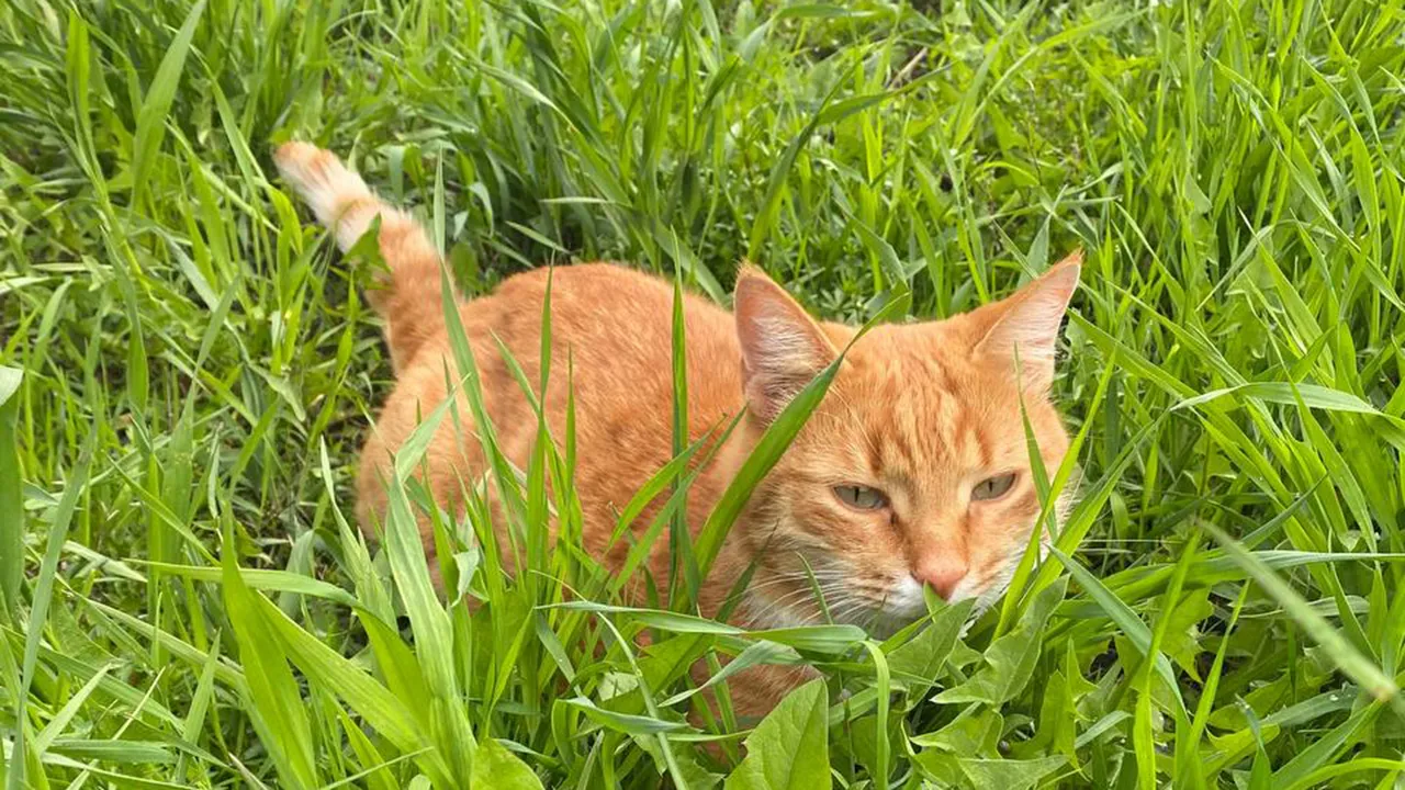 Фото: личный архив Галины Спиридоновой