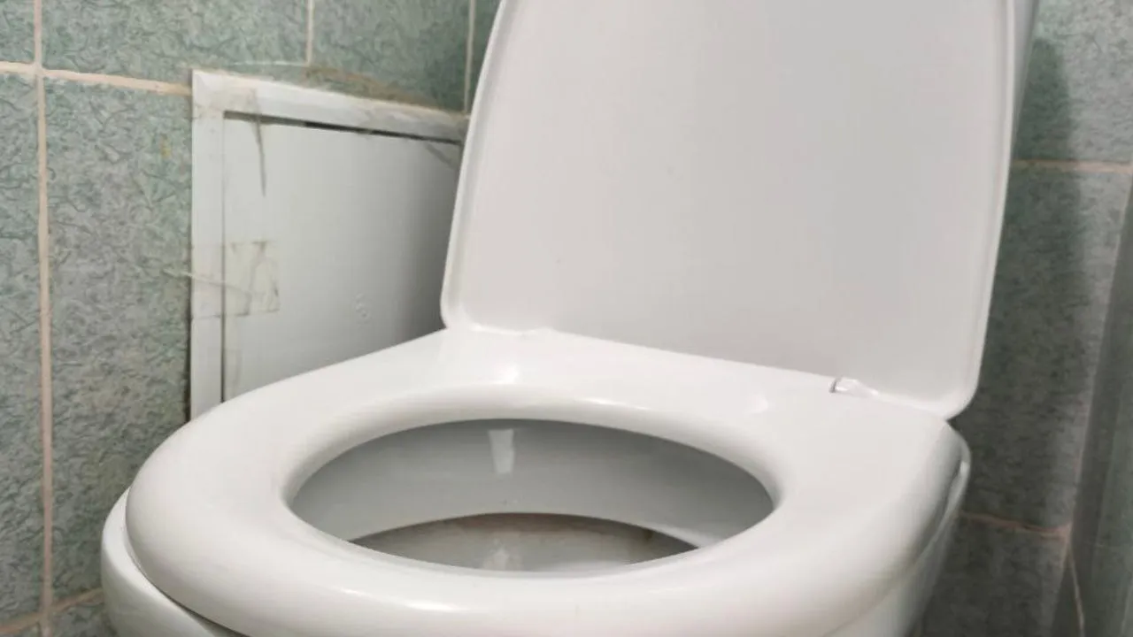 Фото: личный архив Марии Белкиной