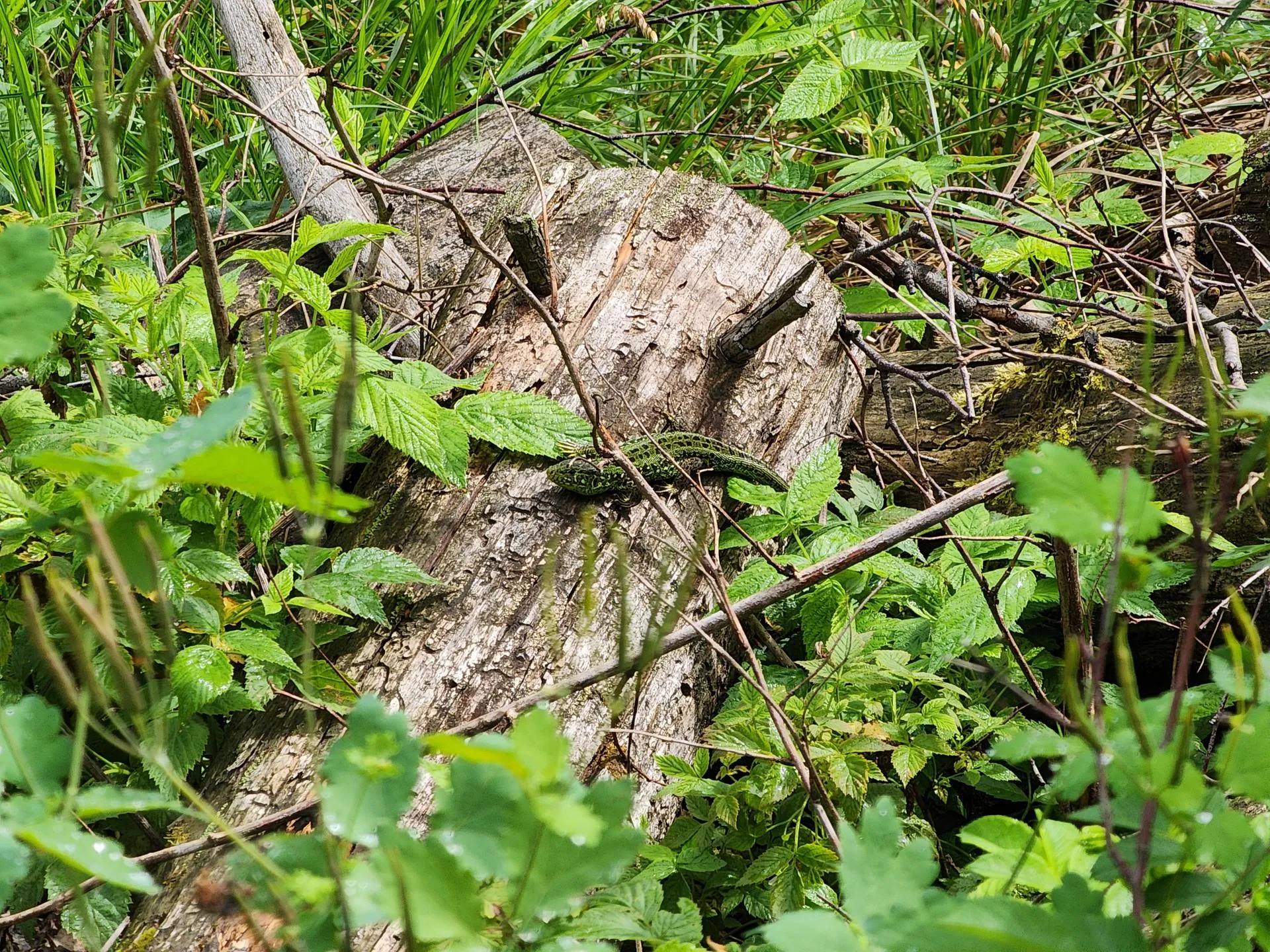 Фото: Иван Петрушин