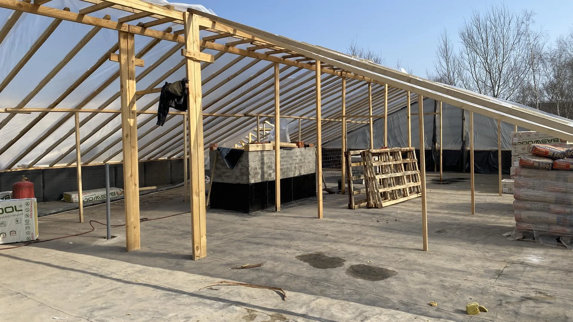 Анна Артюшина