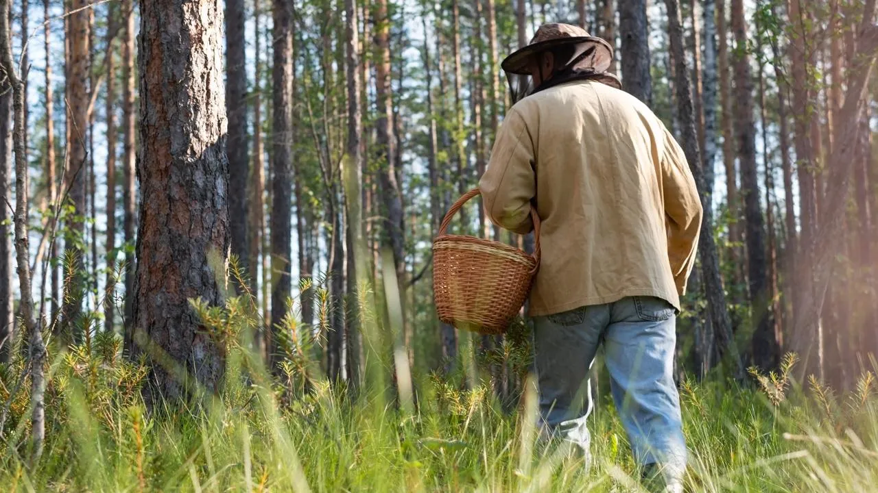 istockphoto.com/Koldunova_Anna