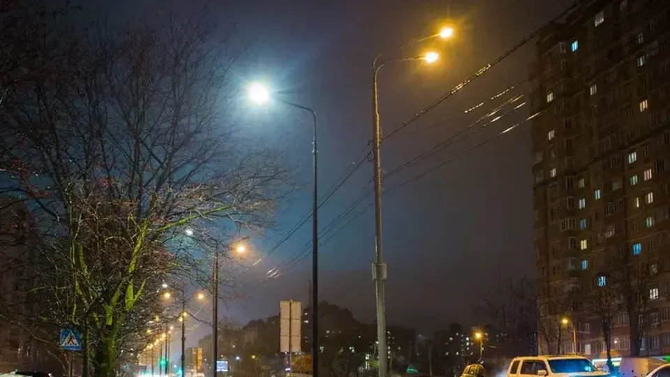 Фото: Министерство благоустройства Московской области