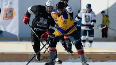 Фото: пресс-служба губернатора и правительства Московской области