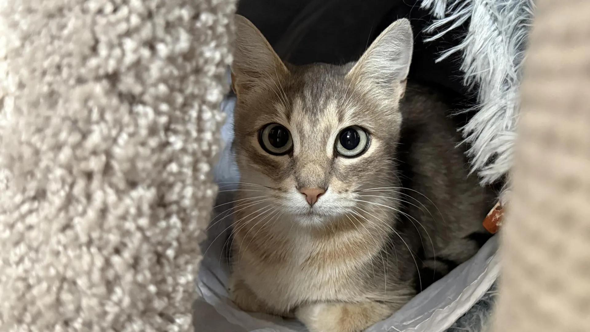 Фото: МедиаБанк Подмосковья/Анна Дука