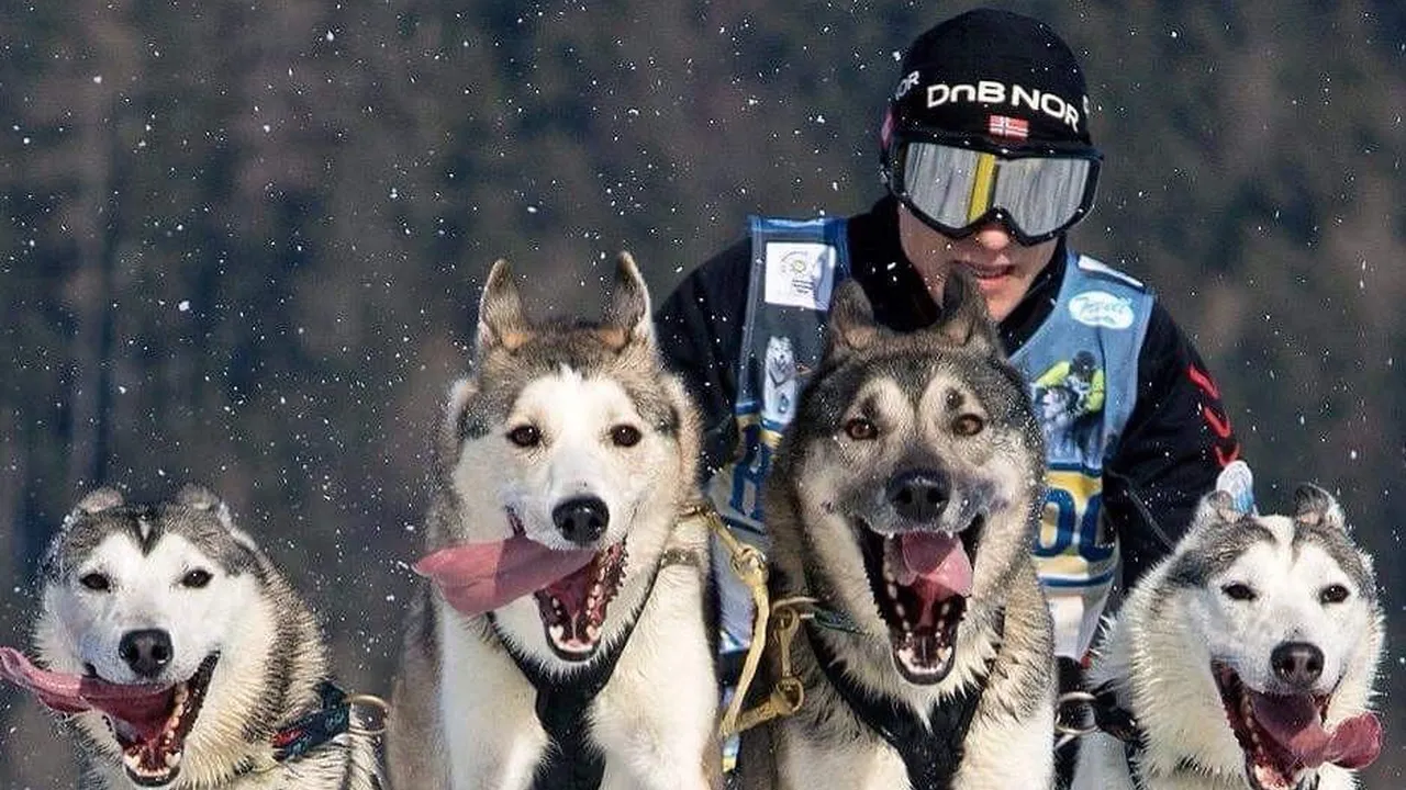 Сергей Фурсов