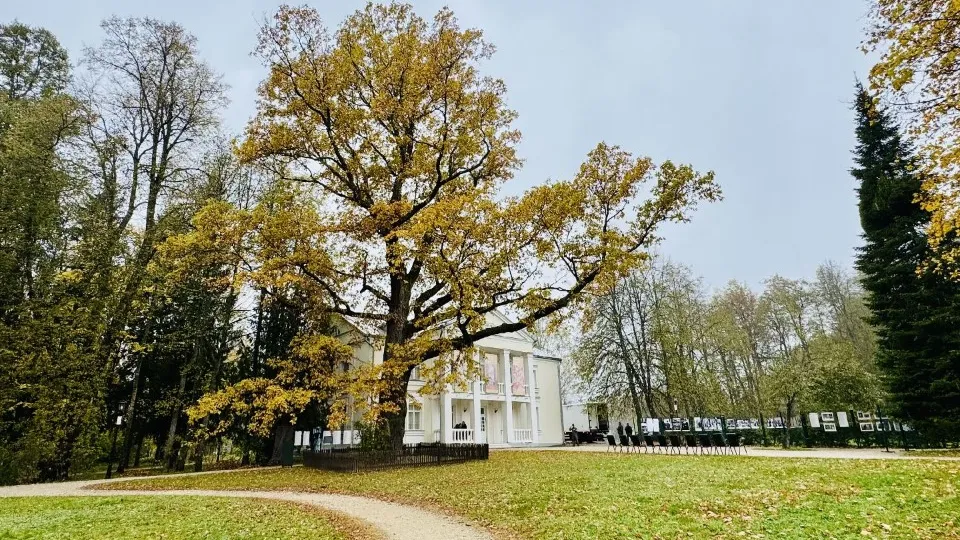 Фото: REGIONS/Татьяна Сташенко