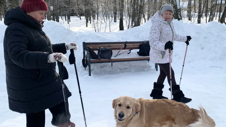 Фото: МедиаБанк Подмосковья/Ирина Мальцева