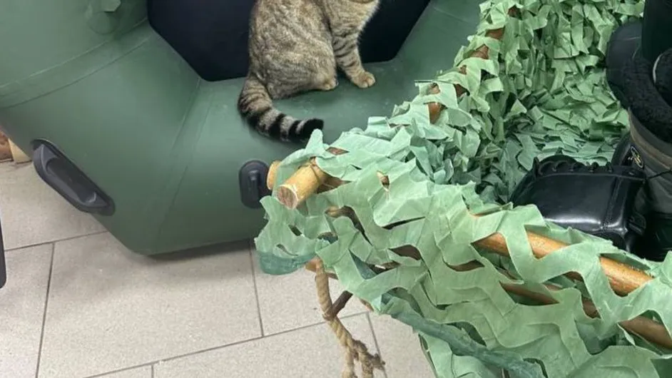 Фото: REGIONS/Александра Серова