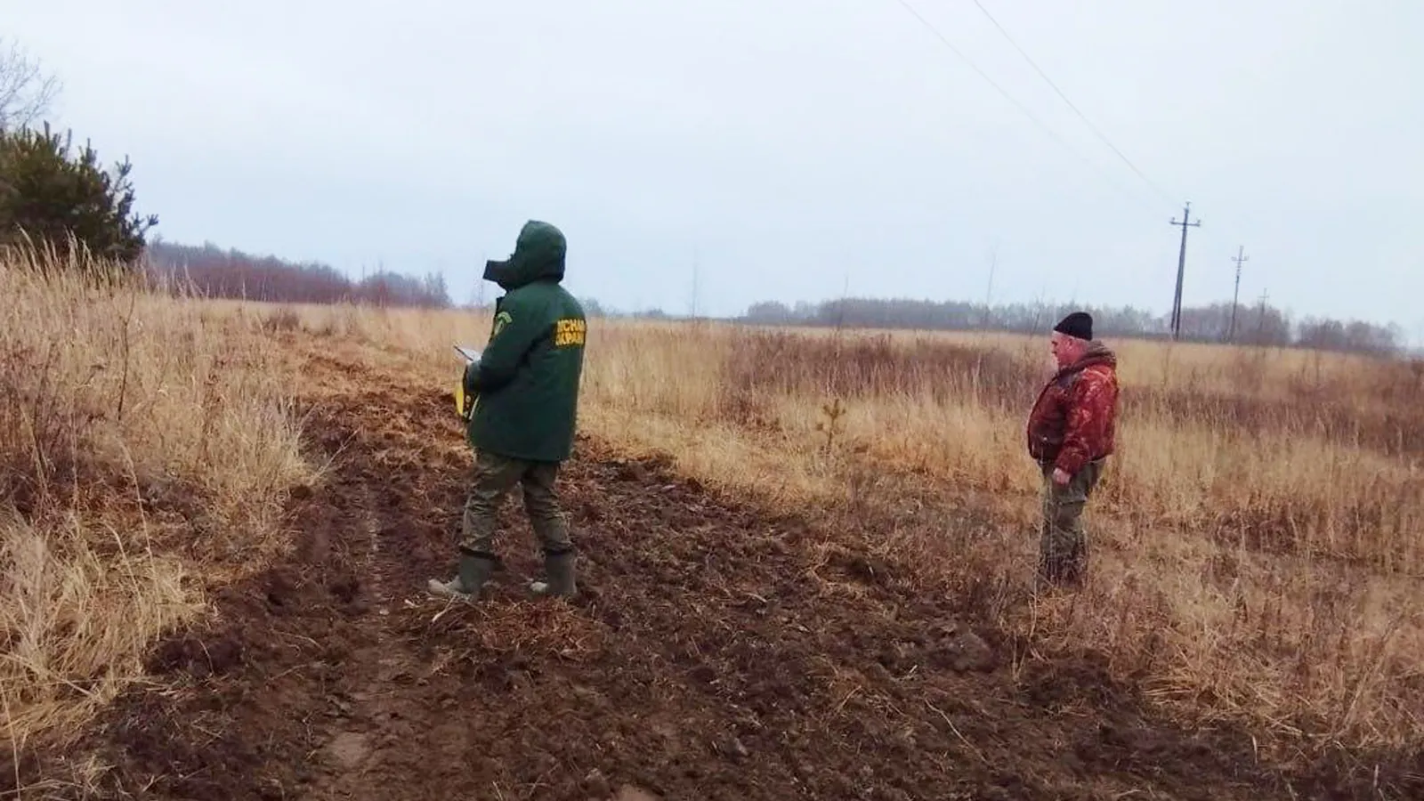Фото: Комитет лесного хозяйства МО