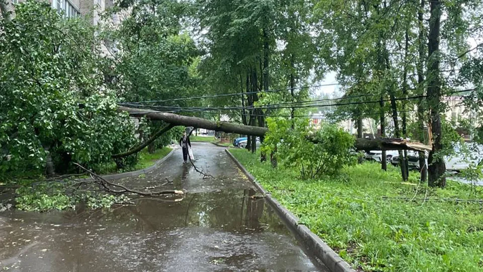 Фото: соцсети