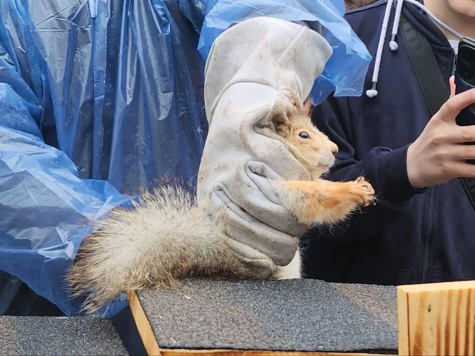 Фото: Наталья Лымарь