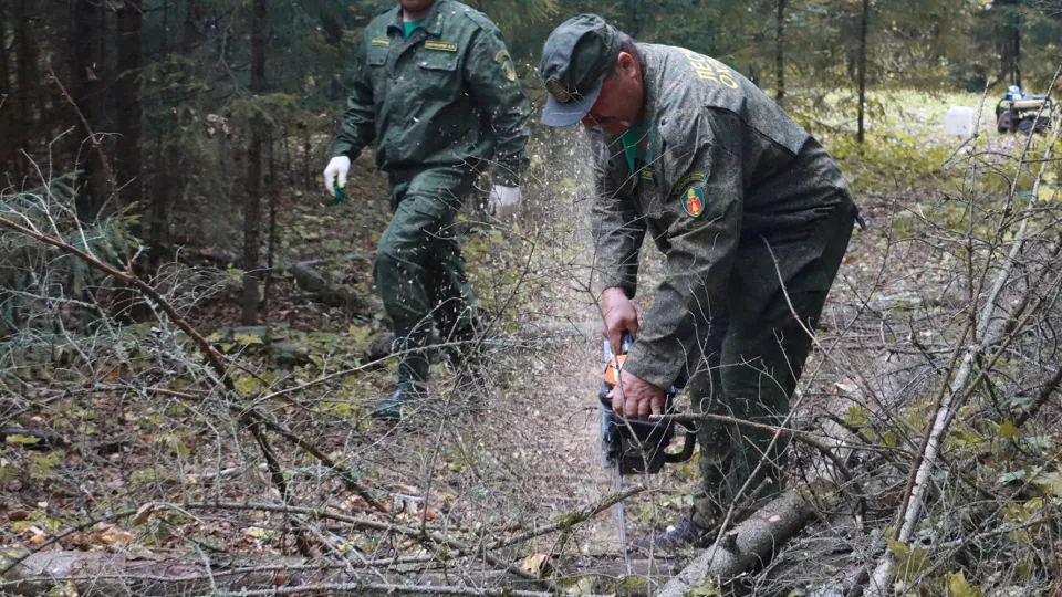Фото: МедиаБанк Подмосковья/Андрей Алекин