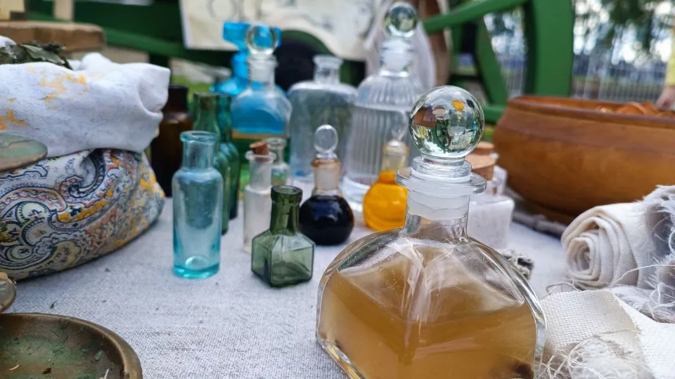 Фото: МедиаБанк Подмосковья/Яна Шаливская