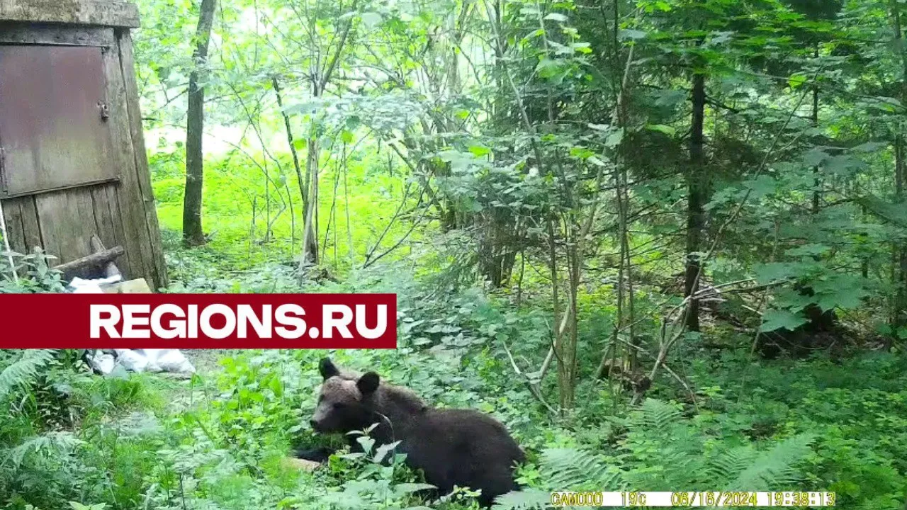 Фото: Дмитровское охотхозяйство
