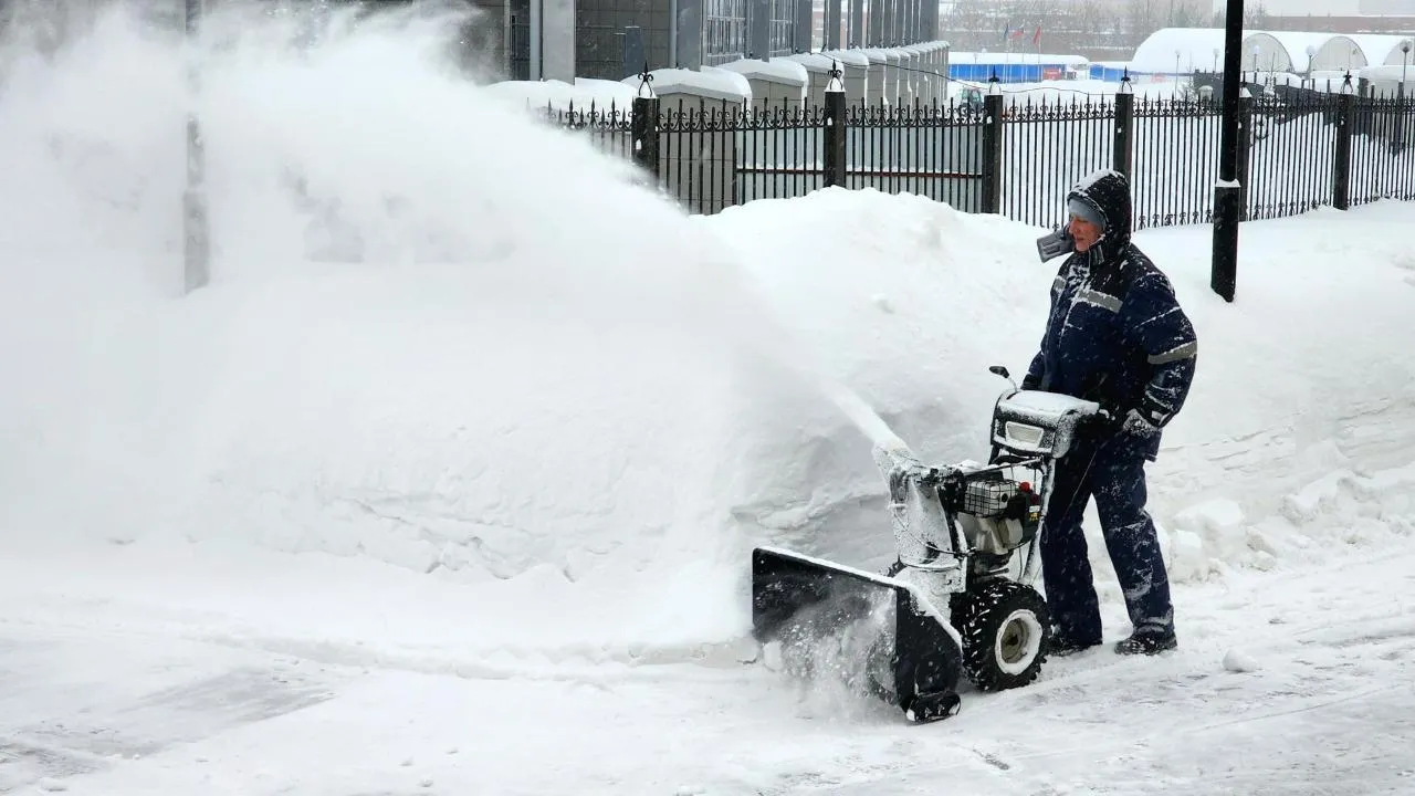 REGIONS/Мария Шигорева