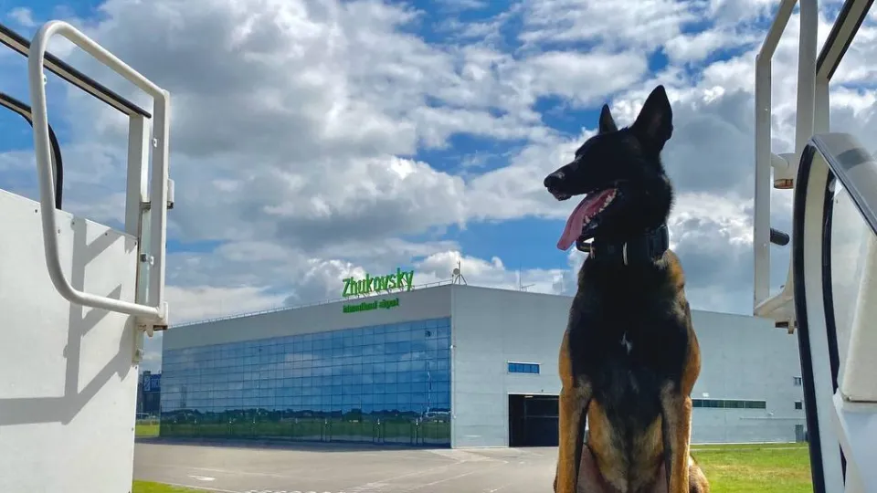 Фото: пресс-служба аэропорта «Жуковский»