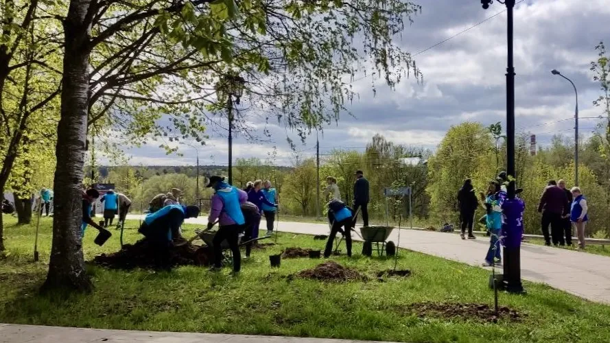 Фото: МедиаБанк Подмосковья/Анна Тюрюмина