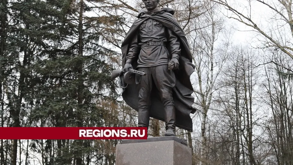 Фото: REGIONS/Александр Дрожжин