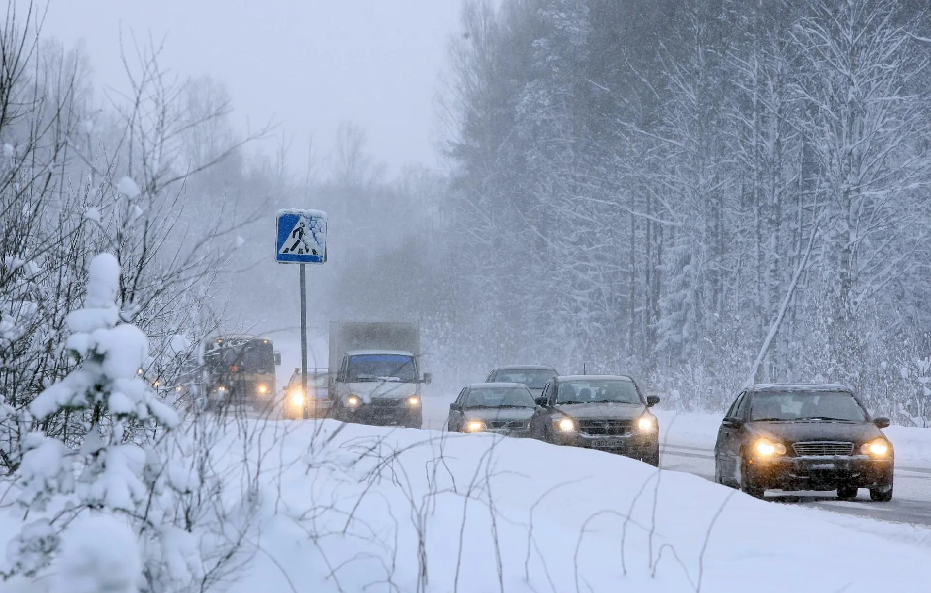 Zamir Usmanov/Russian Look