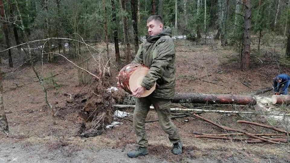 Фото: ГАУ МО «Мособллес»