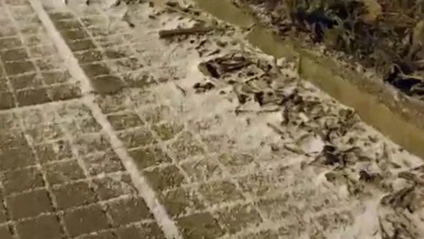 В Бразилии выпал снег