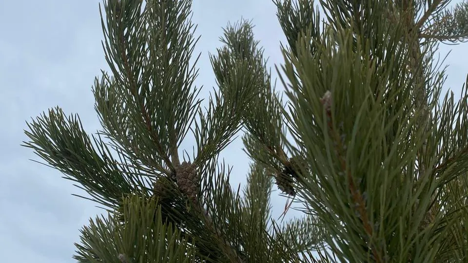 Фото: REGIONS/Мария Толстикова