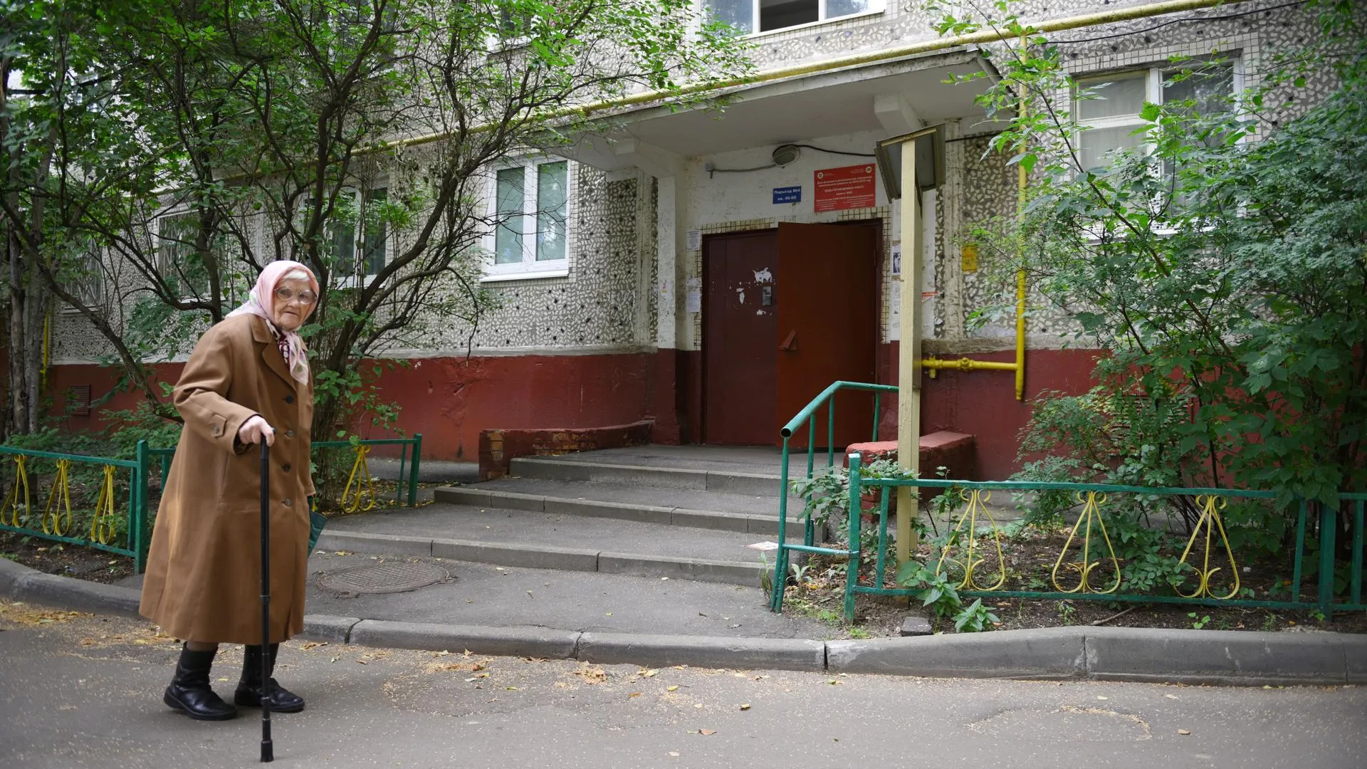 Фото: Александр Кожохин