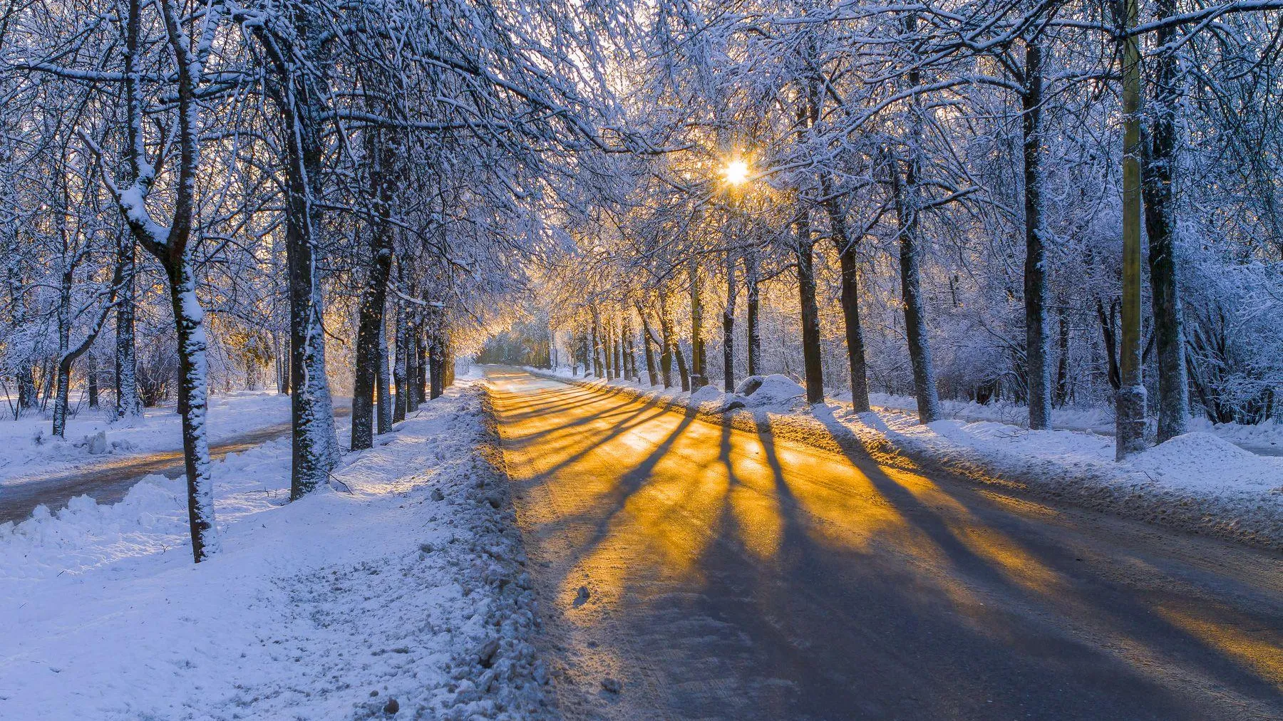 фото: Андрей Воробьев