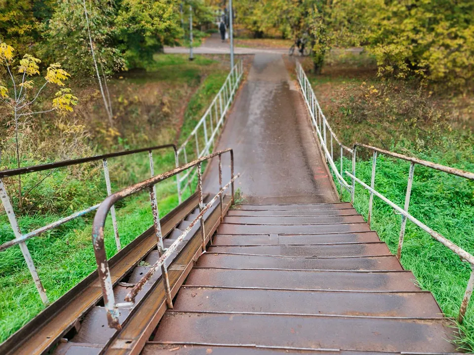Фото: МедиаБанк Подмосковья/Роман Савельев