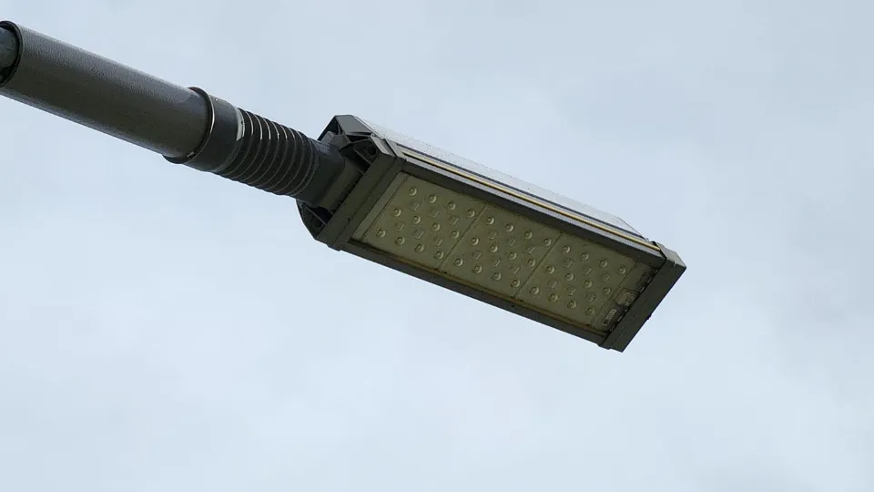 Фото: Екатерина Данилина