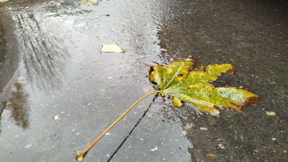 Фото: REGIONS/Наталья Дорофеева