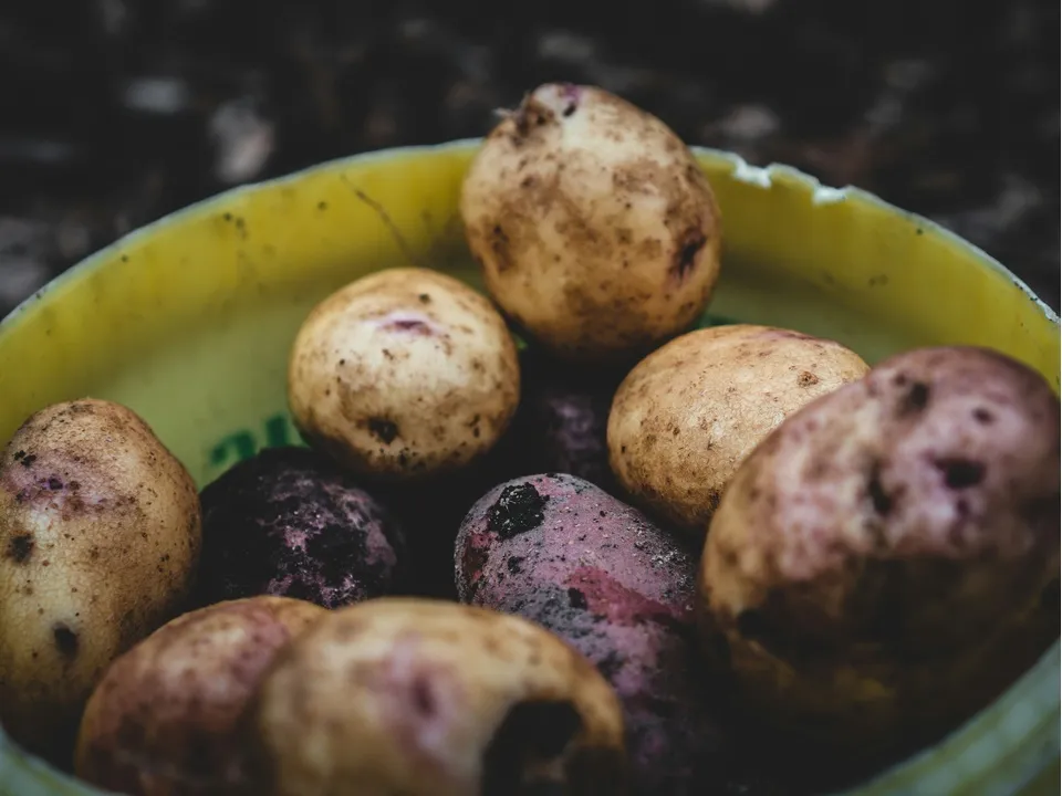 Фото: unsplash.com