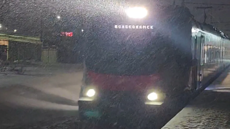 Фото: МедиаБанк Подмосковья/Светлана Борщева