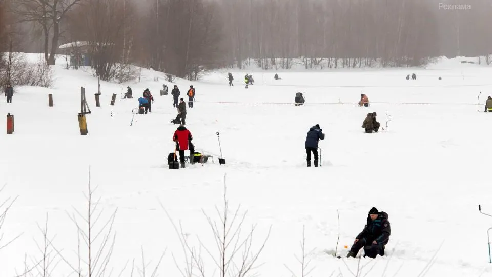 Фото: Леонид Пухач
