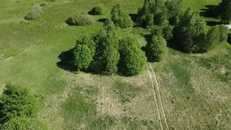 Участки на торгах в Волоколамском м. о.