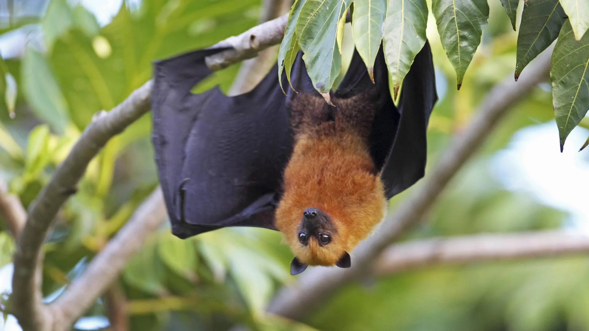 M. Woike/blickwinkel