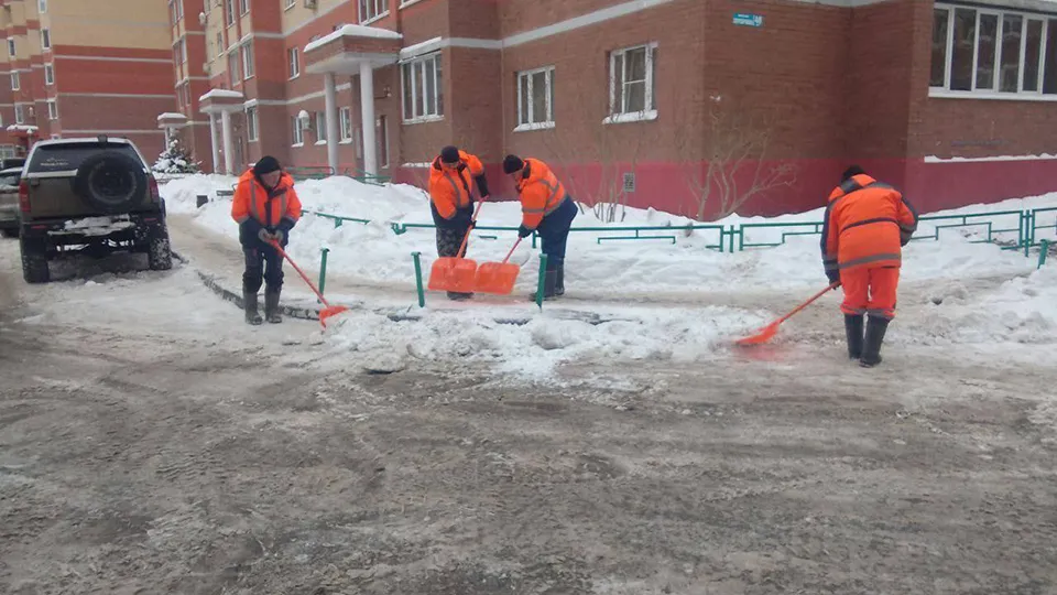 Фото: пресс-служба администрации г.о. Пушкинский