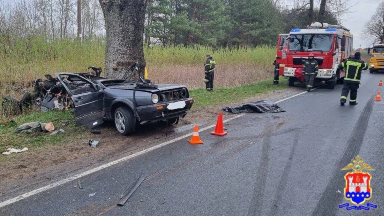 Легковушку разорвало пополам: студенты погибли в жестком ДТП под Калининградом