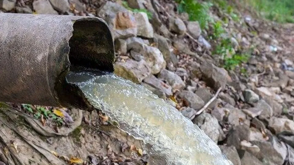 Фото: Министерство экологии и природопользования Московской области