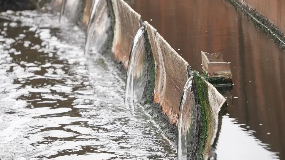 Фото: МедиаБанк Подмосковья/Алена Притула