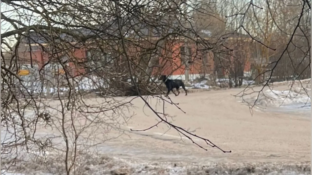 Фото: предоставлено Наталией Тресковой