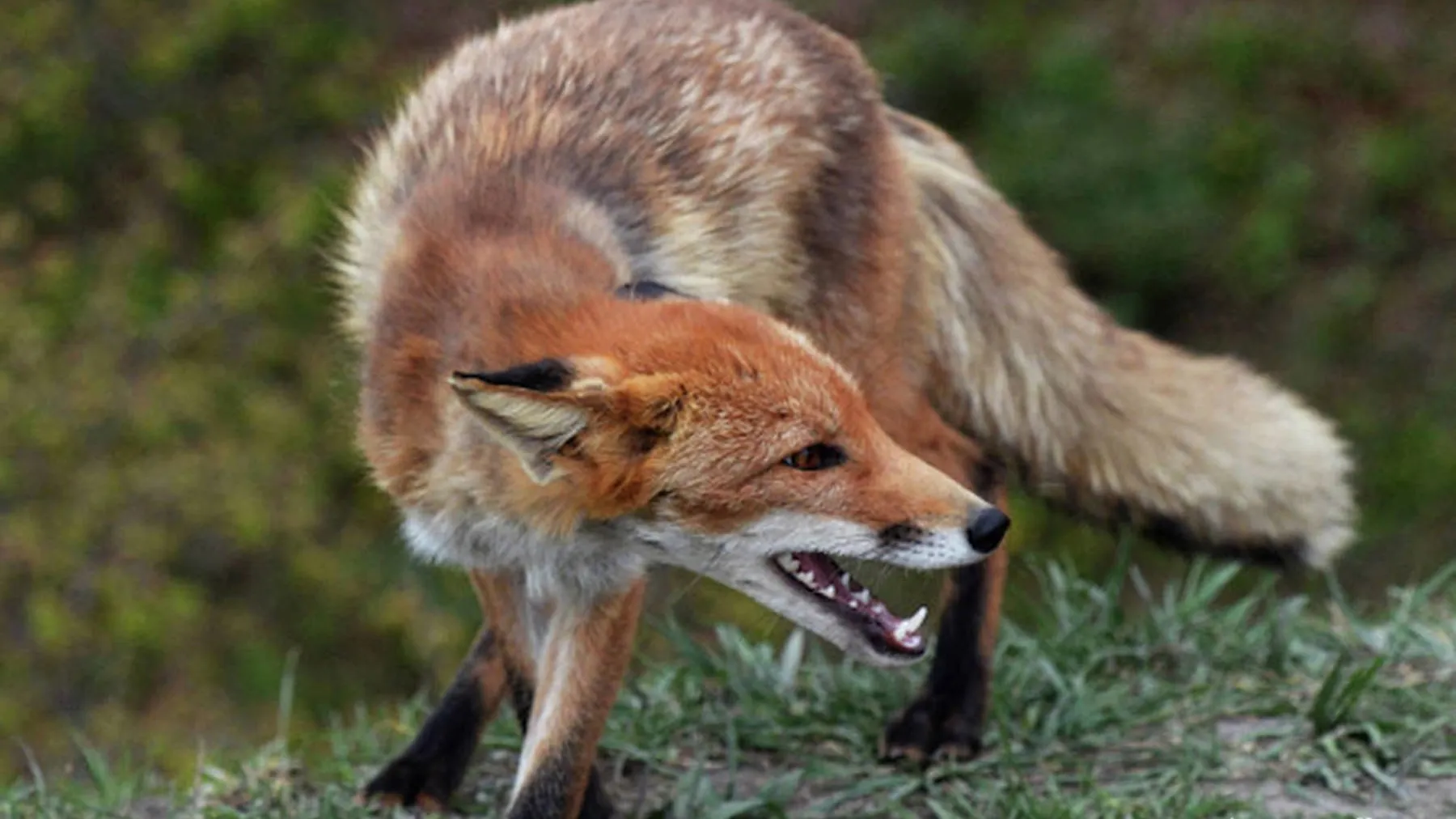 Фото: freepik.com