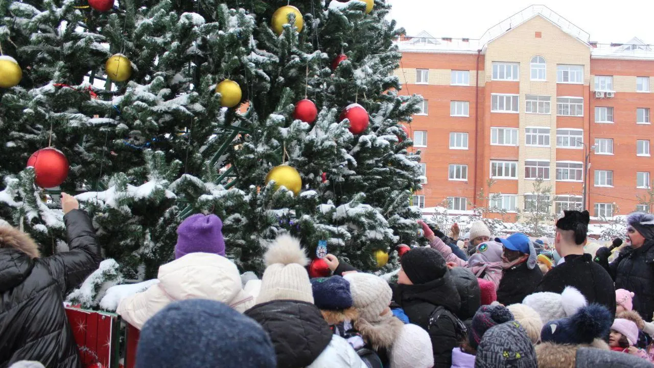 Фото: пресс-служба администрации г. о. Фрязино