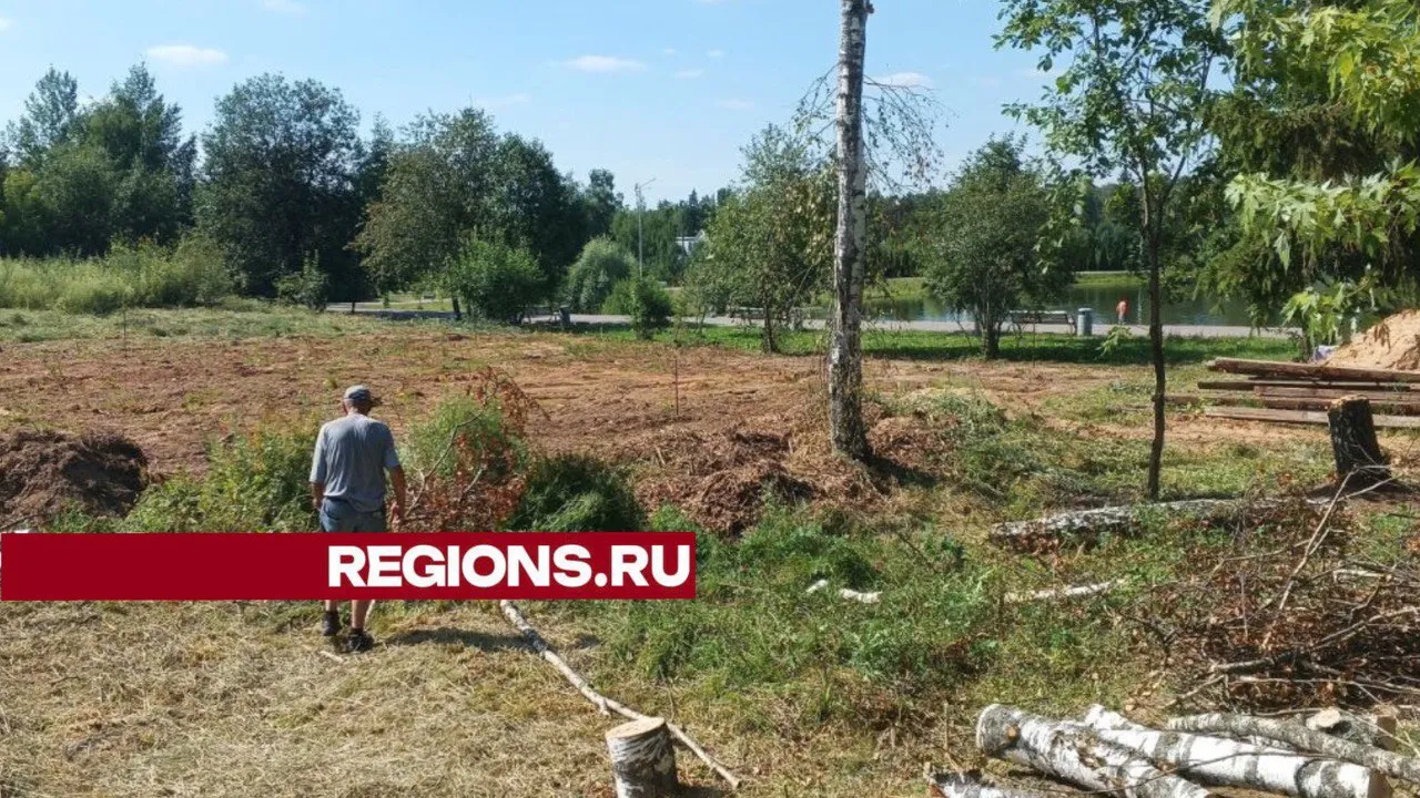 Фото: парки Краснознаменска