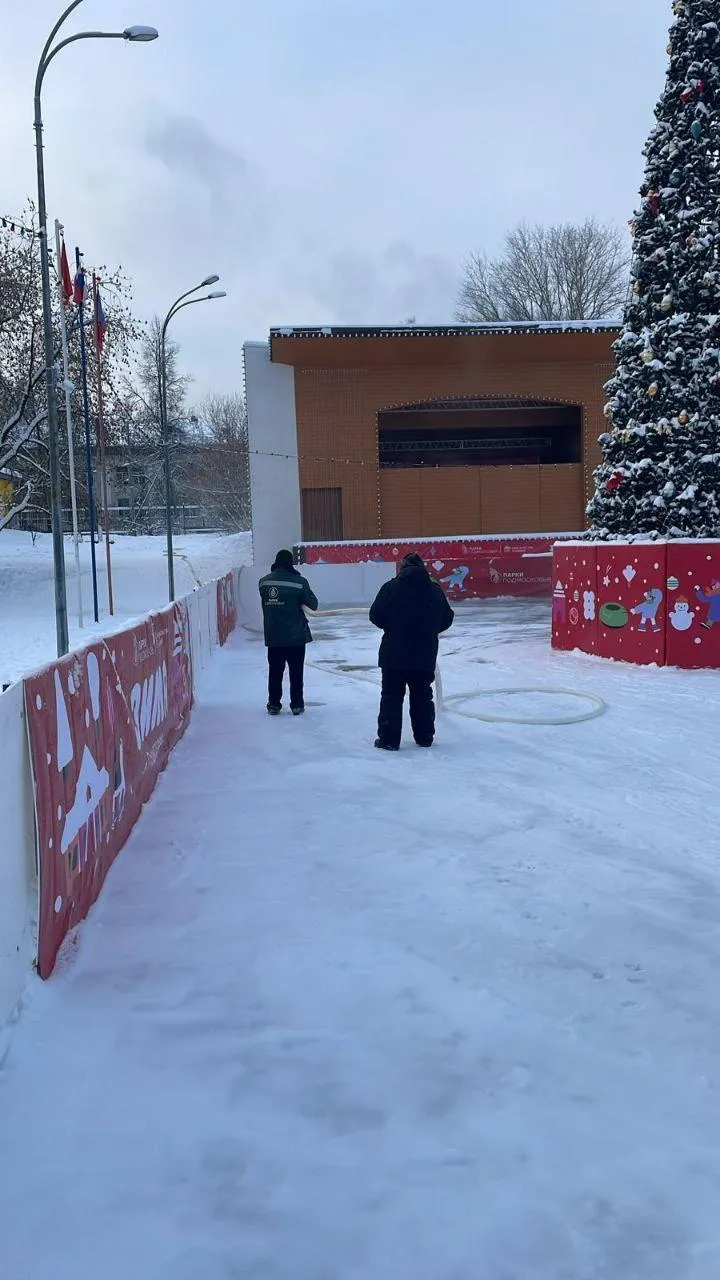 Елена Катасонова