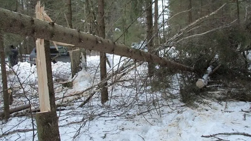ГУ МВД по МО