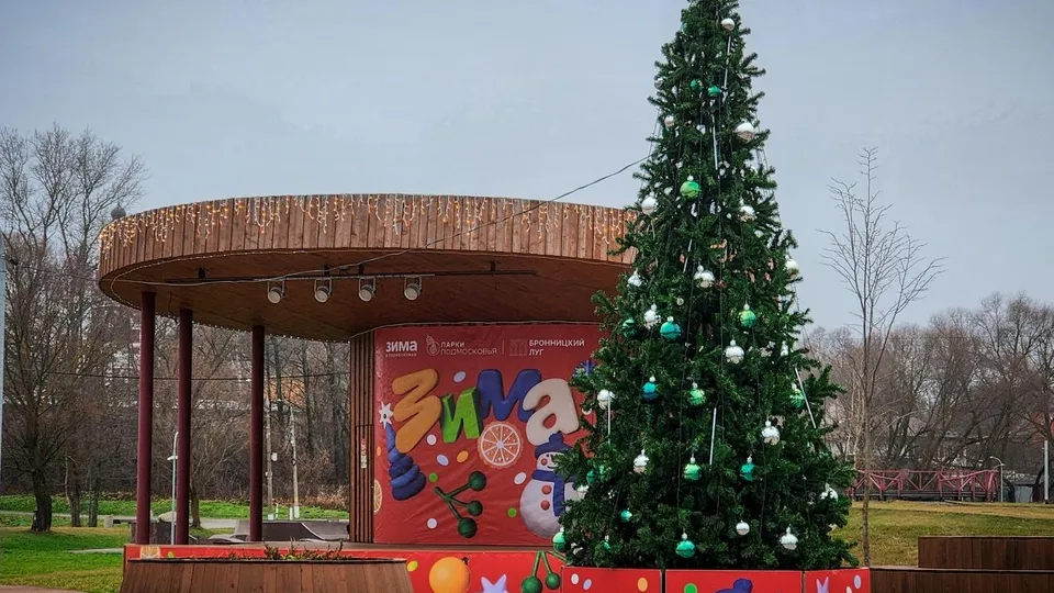 Фото: МедиаБанк Подмосковья/Ольга Антонова