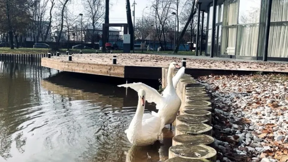 Фото: пресс-служба администрации Серпухова