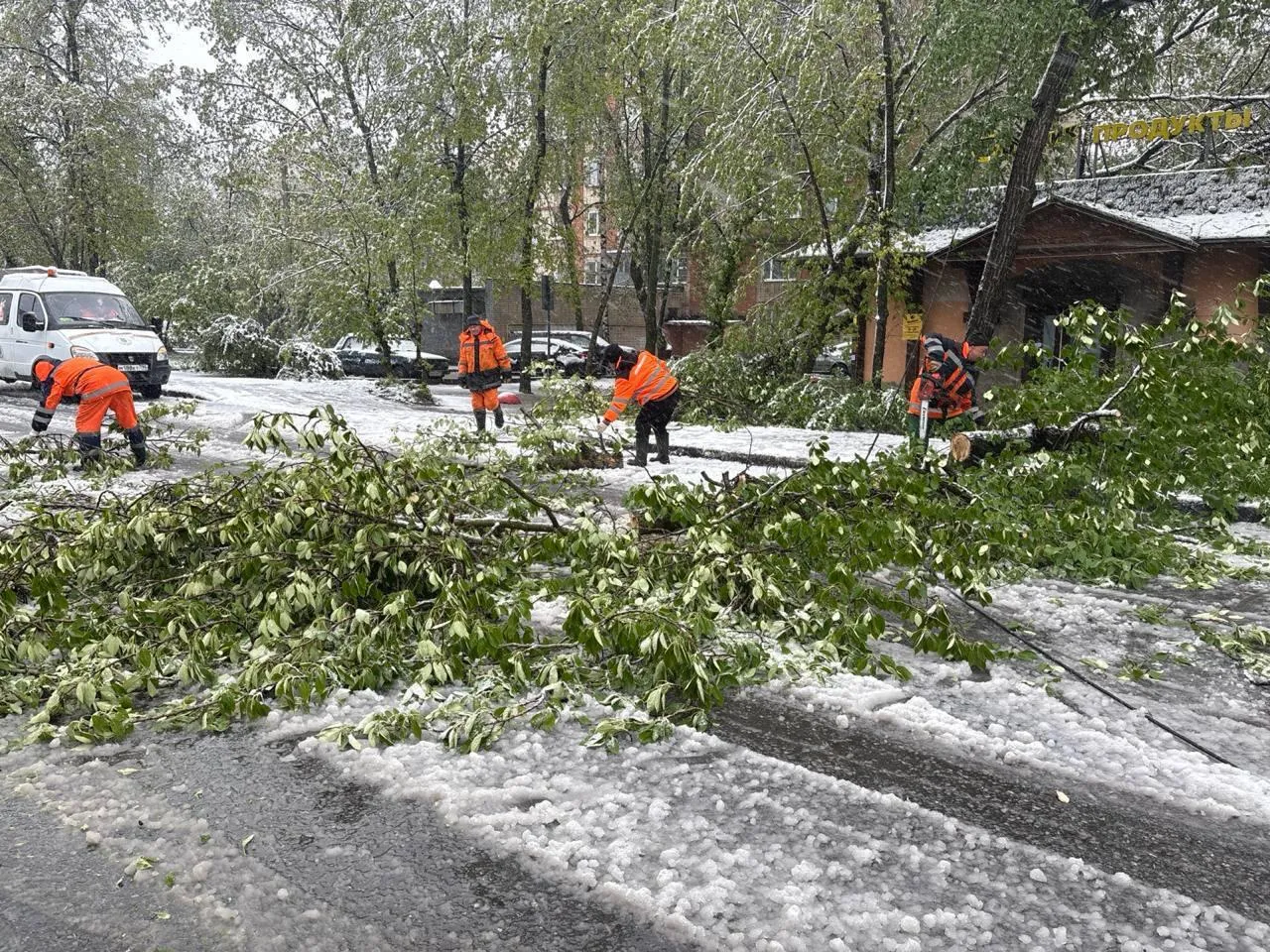глава городского округа Пушкинский Максим Красноцветов